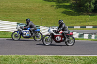 Vintage-motorcycle-club;eventdigitalimages;mallory-park;mallory-park-trackday-photographs;no-limits-trackdays;peter-wileman-photography;trackday-digital-images;trackday-photos;vmcc-festival-1000-bikes-photographs